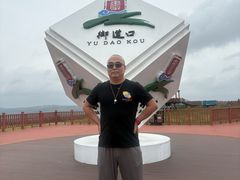 -御道口草原森林风景区