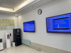 -北京观赏动物医院·24小时大型综合·猫专科·异宠专科