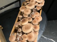 鲜冬菇菌棒-凤园椰珍·臻品椰子鸡(保利时光里店)