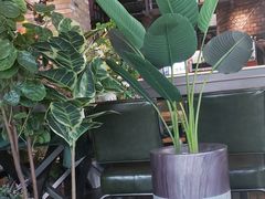 -LYFATTI 莱芙缇(赣水路店)