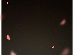 -麻辣香锅泰式麻辣烫(理工店)