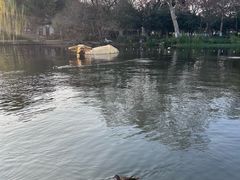 -西湖天地