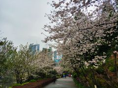 -百林公园-两江幸福广场