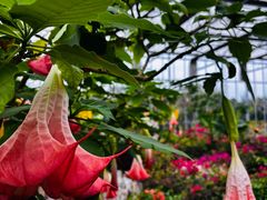 -南通洲际绿博园