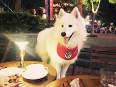 -莫奈花园法式蛋糕