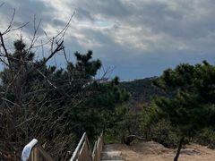 -北岭山森林公园