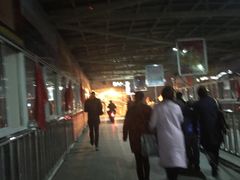 -武汉关码头(轮渡站)