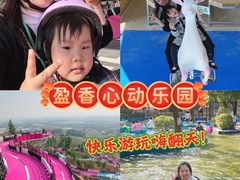 -盈香心动乐园