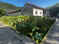 -兰亭风景区