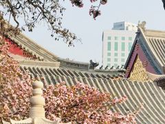-天津大悲禅院