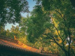 -北京国子监胡同