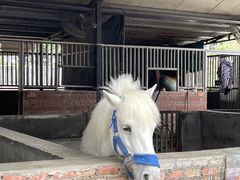-迪茵湖田家舍生态农场