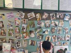 -爱妮康宠物医院·干细胞免疫细胞·肿瘤·心脏(张江店)