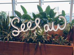 -Seesaw Coffee(朝阳大悦城店)