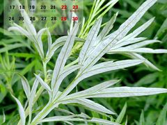 -渭河城市绿地运动公园