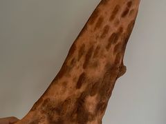 -都恩客(高岛屋百货店)