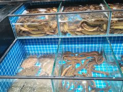 -吉麦隆沙溪超市