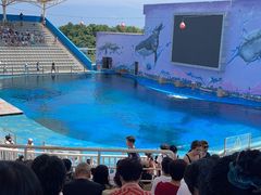 -北戴河圣蓝海洋公园