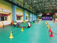 -长春乐奇平衡车儿童体能运动中心