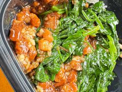 -上海野生动物园老虎餐厅