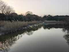 -上海吴淞炮台湾国家湿地公园
