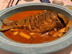 -阿五黄河大鲤鱼(海尚店)