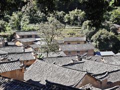 -杨家堂村