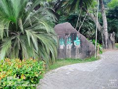 -深圳仙湖植物园