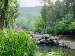 -白水寺森林公园