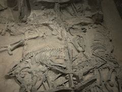 -北京大葆台遗址博物馆