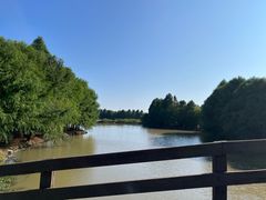 -上海海湾国家森林公园