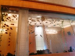-Acqua海蓝意大利餐厅