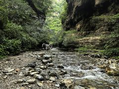 -龙门涧景区