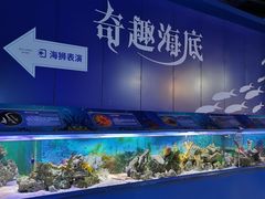 -重庆欢乐海底世界