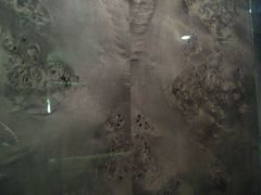 android_upload_pic-广州天河希尔顿酒店