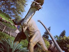 -自贡恐龙博物馆