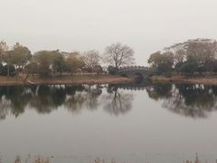 -上海市保健医疗中心(华东疗养院)