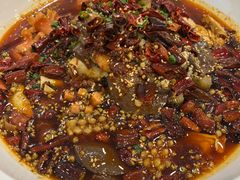 -鑫巴蜀小镇 · 水煮鱼专研店(玉桥店)