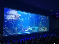 -多彩贵州城极地海洋世界