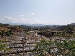 -牙胡梯田