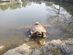 -陶祖圣境风景区