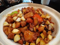 金不换三杯鸡煲-高第街56号餐厅(凯德mall新都心店)