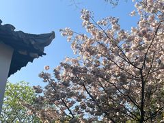 -狼山风景名胜区