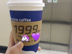 -瑞幸咖啡(巴黎春天陕西路店)