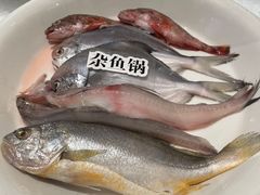 -黄山老妈·土菜(碧桂园店)