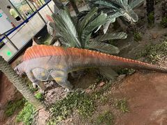 -湖南省地质博物馆