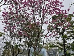 -广州市城市规划展览中心