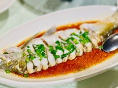 -金美华轩(东方路齐鲁店)