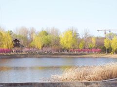 -永定河休闲森林公园