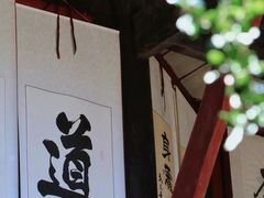 -青城山